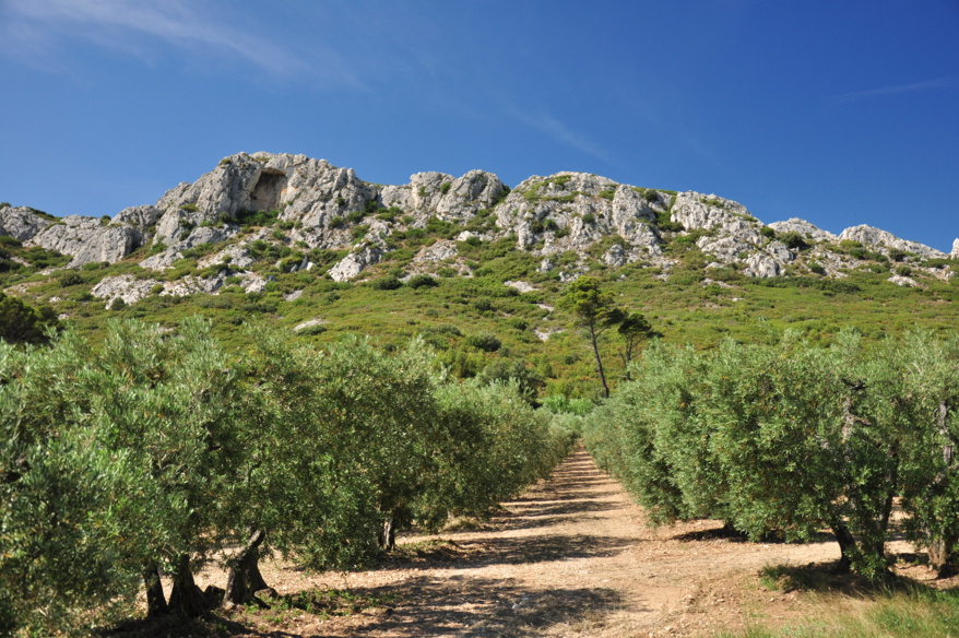 Les Alpilles : la Provence blanche et secrète