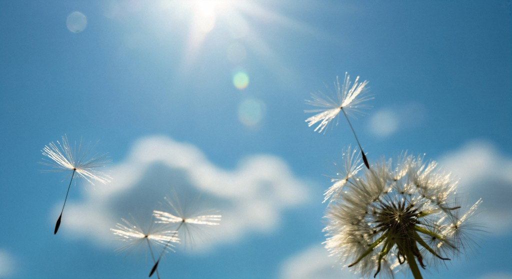 Le mistral : le vent qui gouverne la Provence